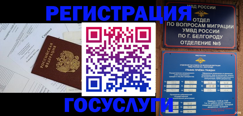 временная прописка в Сольцах